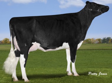 2nd Dam: Freurehaven FGS Lucy VG86